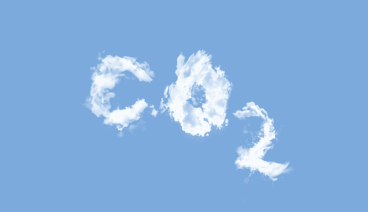 Business insights: Addressing Carbon Emissions - The Sustainable Watch Company