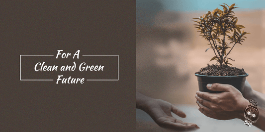The Eco-Friendly Trend: Why Wood Watches are the Next Big Thing - The Sustainable Watch Company