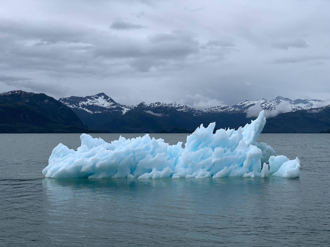5 Key Pieces of Climate Change Evidence - The Sustainable Watch Company