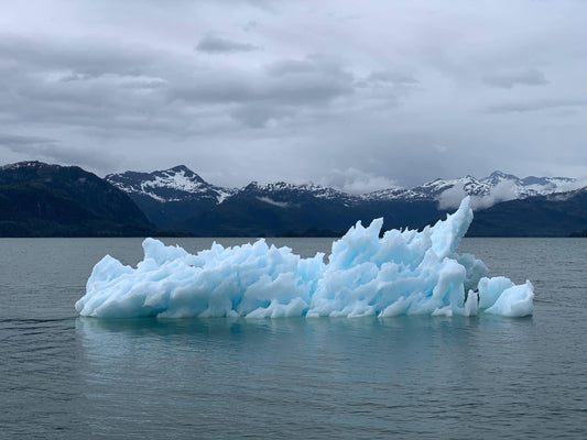 5 Key Pieces of Climate Change Evidence - The Sustainable Watch Company