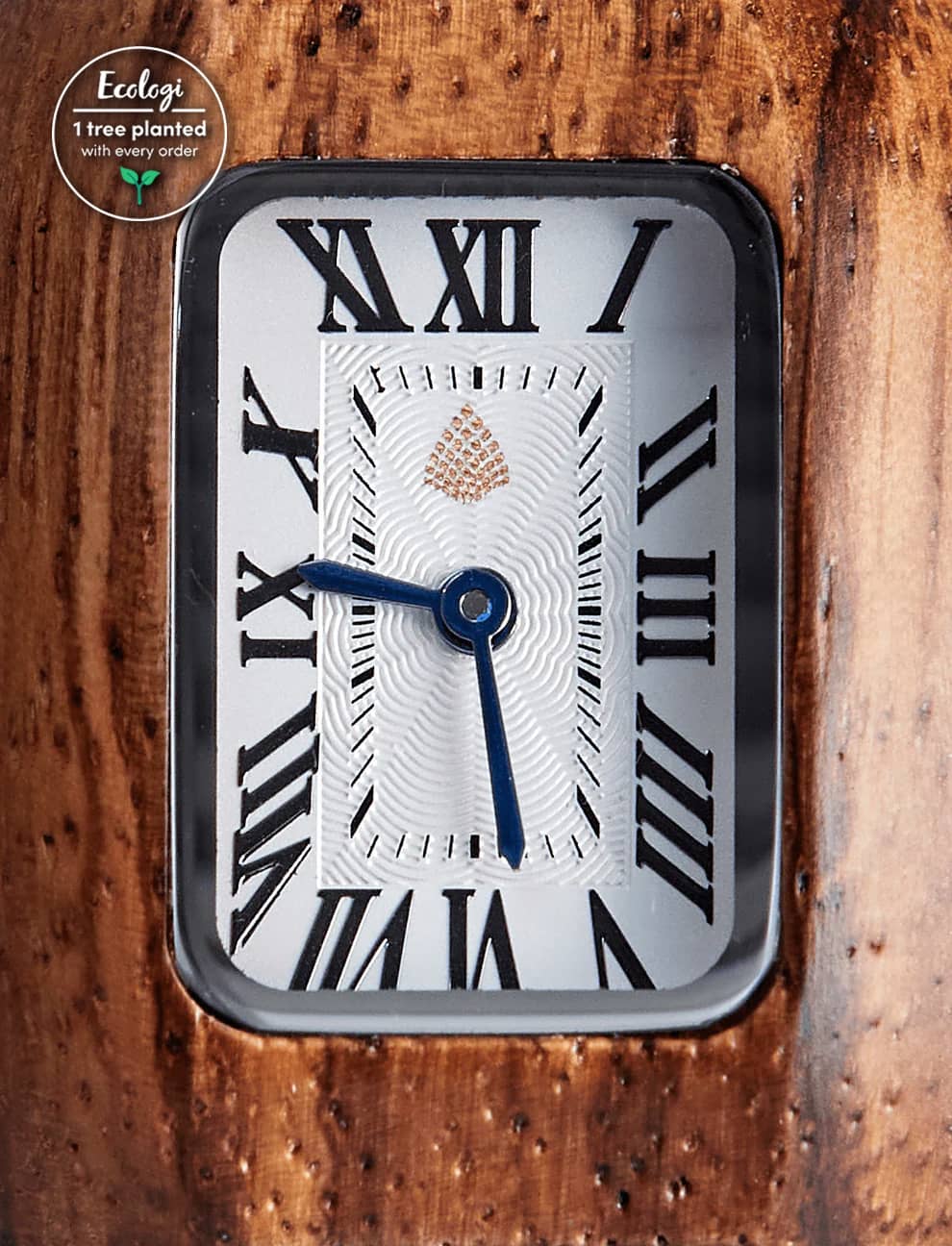 The Maple: Wood Watch for Women - The Sustainable Watch Company