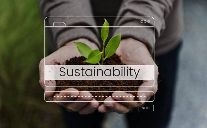 What actually is Sustainability? - The Sustainable Watch Company
